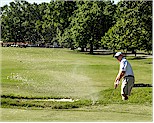 Golfing at Overton Park