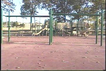 Slides and
swings