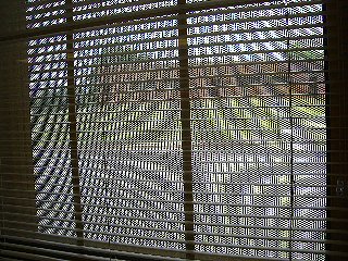 Class of 1967 40-Year Reunion, May 25-27, 2007