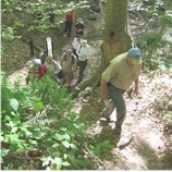 Hiking in Shelby Forest